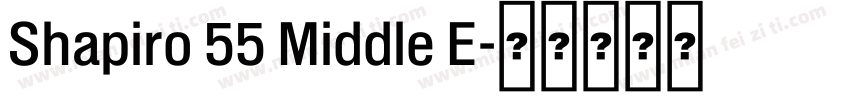 Shapiro 55 Middle E字体转换